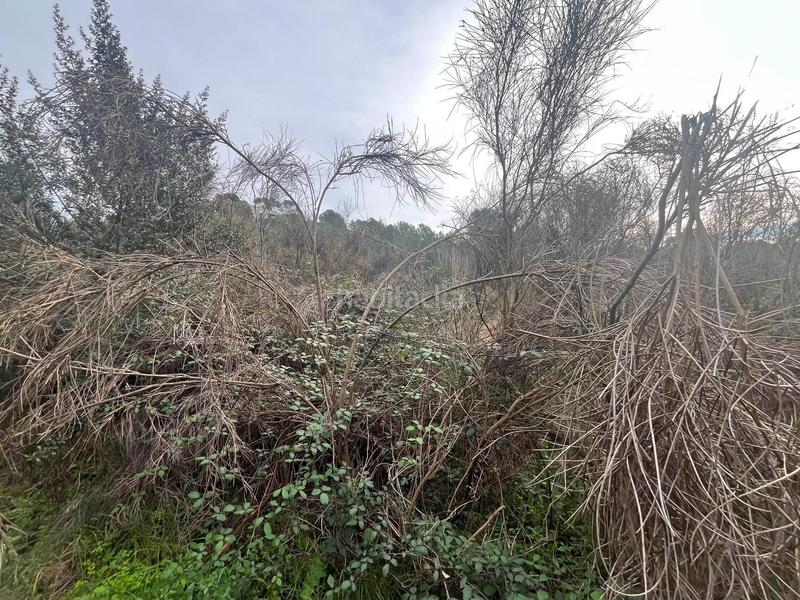 Foto c5ae6e9f-56de-4961-b5b7-5565122c64d0. Finca rústica p.p.r. 2 en Nucli Urbà Esparreguera