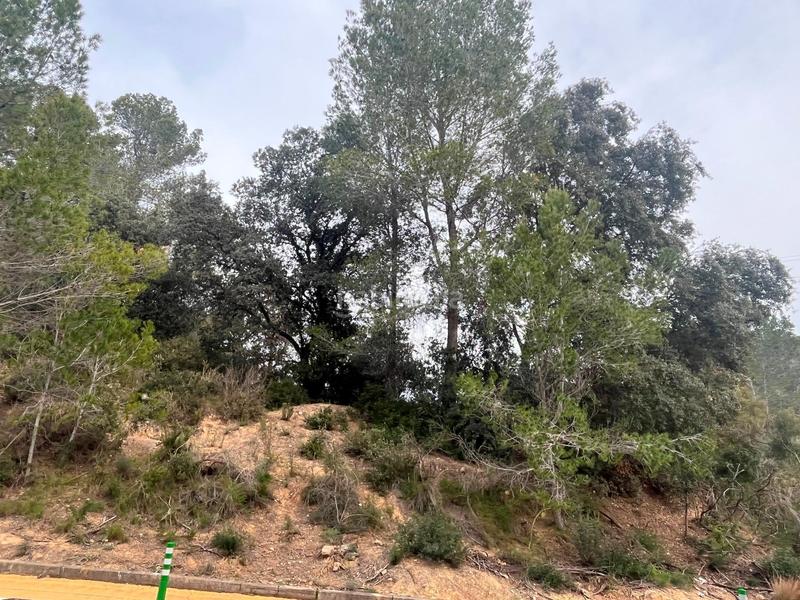 Foto e02eda9f-3f64-44e8-ab87-26743f531ada. Finca rústica p.p.r. 2 en Nucli Urbà Esparreguera