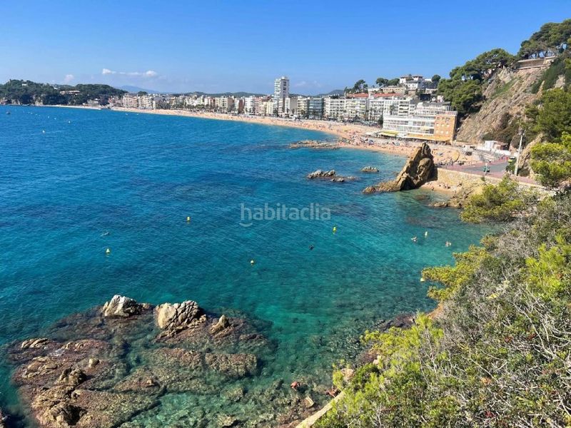 Foto 8c6ca2a6-c0e6-476c-a429-bc14b64ffb96. Piso frederic mistral en Centre Lloret de Mar