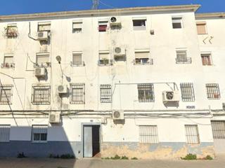 Pis a Torreblanca. Encina