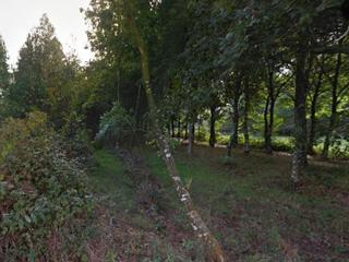 Landgut in Abegondo. Abegondo a coruña