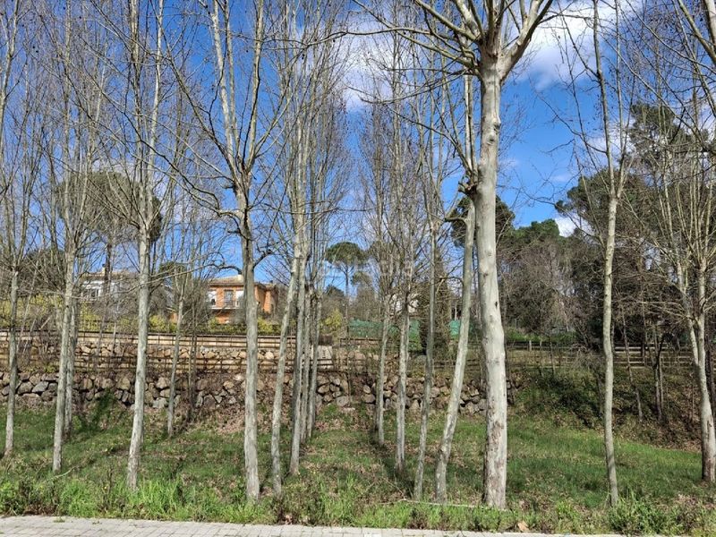 Foto 918ce01b-b55e-4eba-b123-afbfaf3052b8. Xalet amb aparcament a Sils