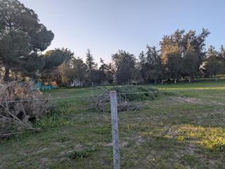 Maison à Torre Cruz - Los Molinos. Ur camino de moron