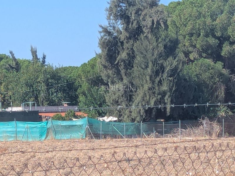 Foto 2a621e74-2cd1-46b3-8d0e-2ae7ccb9afd0. Casa a Pedanías Sur Utrera