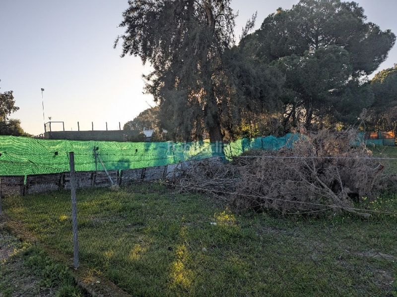 Foto a6227920-dfc9-45e6-a330-01c0f5556b76. Casa a Pedanías Sur Utrera