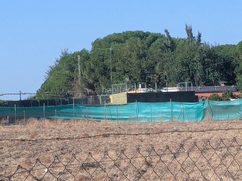 Foto aa2fc115-903e-4f53-92fc-f4bbec9380ff. Casa a Pedanías Sur Utrera