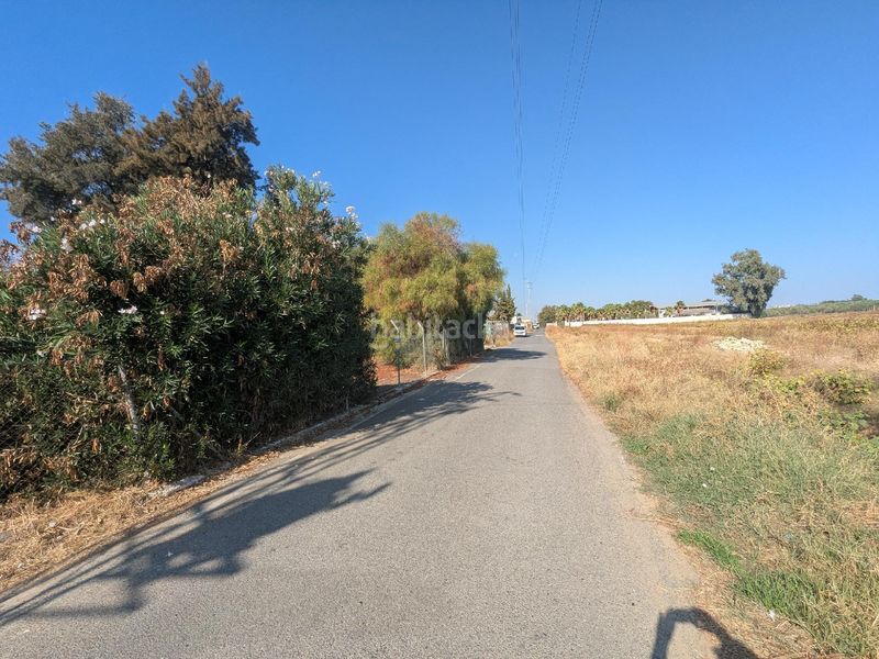 Foto e1917502-5f7d-4b37-bf52-9e902c0bb413. Casa a Pedanías Sur Utrera