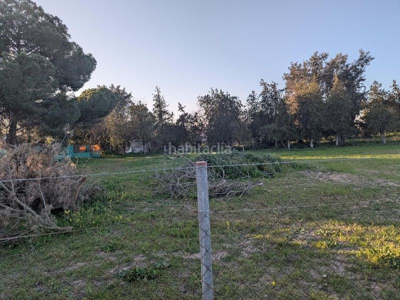 Foto f0f42124-9d8d-4aa9-a276-4bcc7fe9bde7. Casa a Pedanías Sur Utrera
