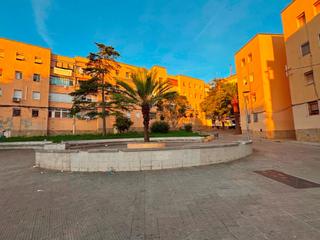 Pis a Les Planes. Blocs de la florida dels 6