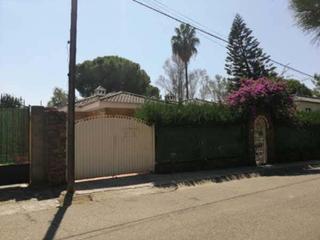 Chalet in Carmona. Pino grande 4