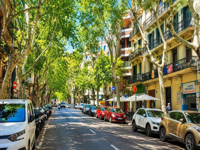 Foto a3d6c2f5-5b3c-494d-89f4-7518c2b75b9b. Pis a Vila de Gràcia Barcelona