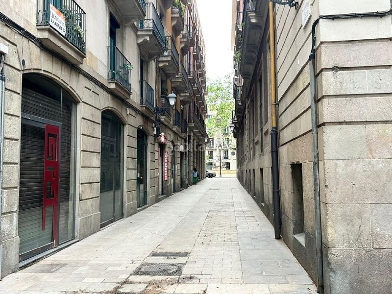 Foto 1d585728-a04e-46db-bbeb-84675f0749e7. Pis a Gòtic Barcelona