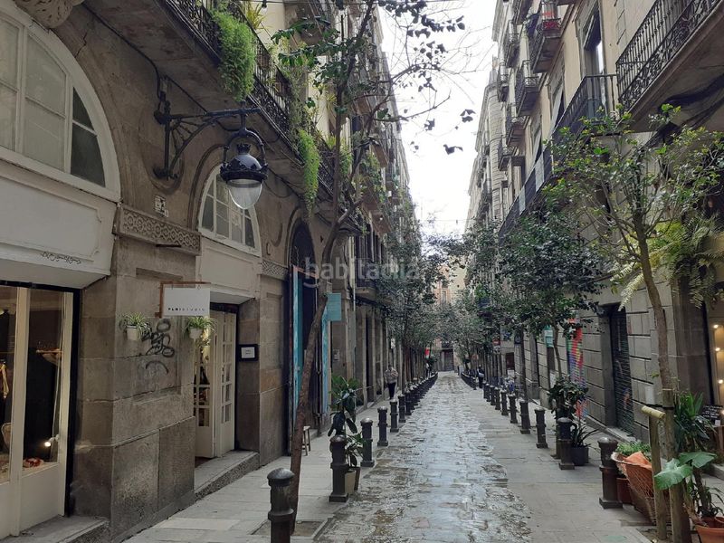 Foto eeac65c8-016d-4f73-843b-073e841419d5. Pis a Gòtic Barcelona