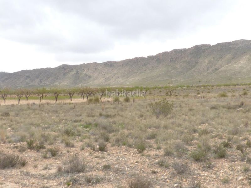 Foto 022b47bc-2a0d-4d35-8292-efdd6b522442. Finca rústica a Jumilla