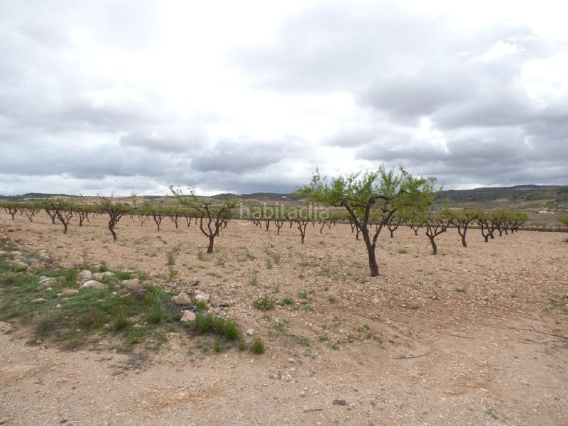 Foto 05d10a3b-692e-432b-851a-a8248c779281. Finca rústica a Jumilla