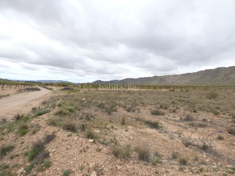 Foto 0b5b3bda-84b6-4e47-8204-1f2d5b9f331d. Finca rústica a Jumilla