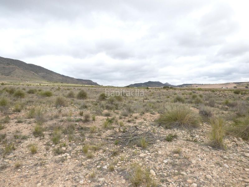 Foto 0d41c86f-5751-4c41-8301-02a70270ff22. Finca rústica a Jumilla