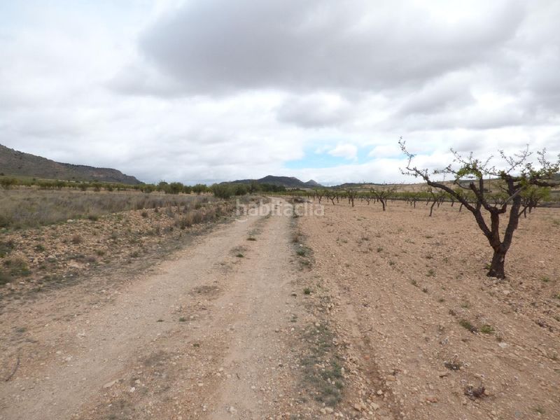 Foto 1ee2a166-ed10-40b3-ab22-f8d94c113931. Finca rústica a Jumilla