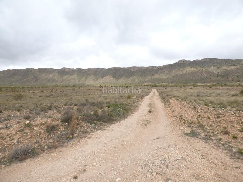 Foto 2bbc57c8-62cf-412a-ba5f-f32d35d59223. Finca rústica a Jumilla