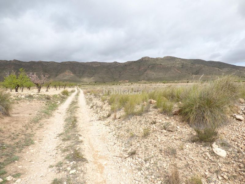 Foto 4b59e8f8-ba45-404f-b6d0-83717066dbfd. Finca rústica a Jumilla