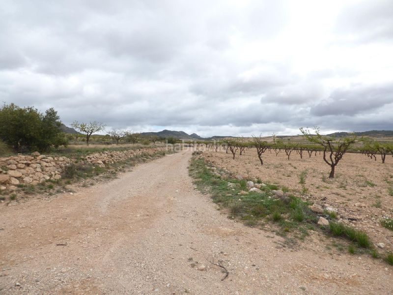 Foto 53ec1301-a2fb-456e-947f-ef255854b89d. Finca rústica a Jumilla