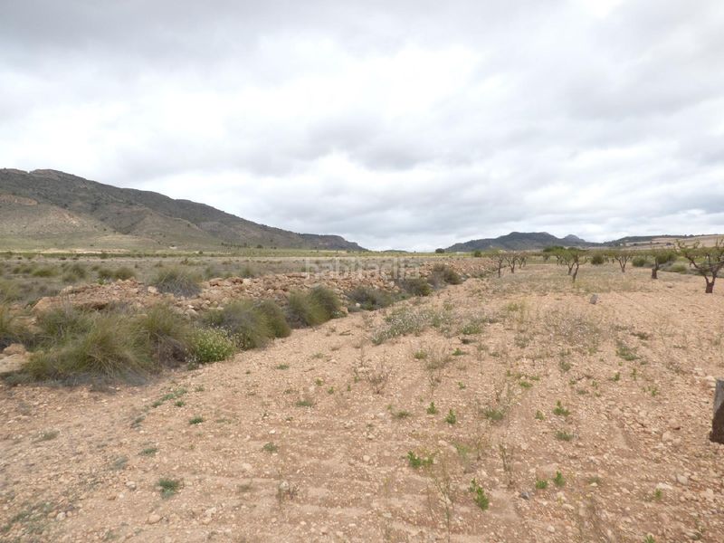 Foto 6d72dd34-1b16-45ed-884a-b4a381818a8c. Finca rústica a Jumilla