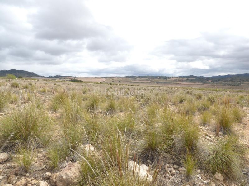 Foto 73c7317a-1454-4584-8af3-d53145952c89. Finca rústica a Jumilla