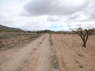 Residential Plot in Jumilla. Suelo en jumilla