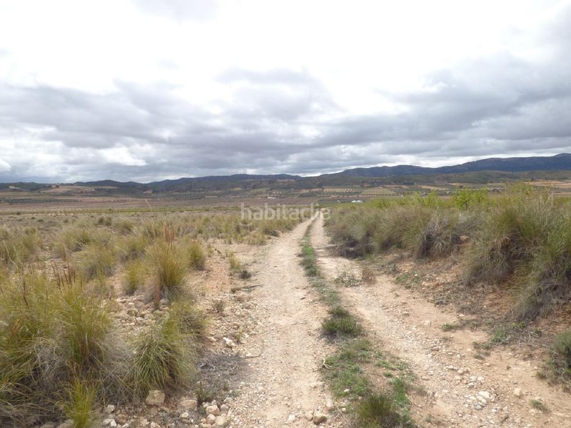 Foto a0b47ea0-87f5-4246-83d7-5117eca07754. Finca rústica a Jumilla