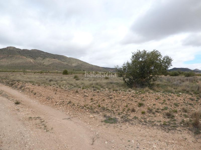 Foto f0a38cc3-ff11-443d-9eda-5e6621da3346. Finca rústica a Jumilla