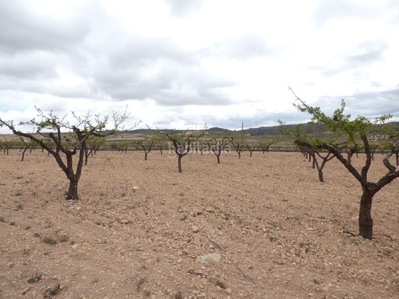 Foto f46eb695-f59c-423d-96e0-7869c7dce374. Finca rústica a Jumilla