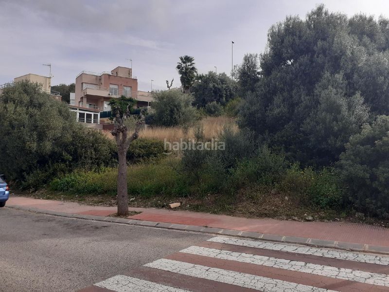 Foto 0b82cdc3-72fa-40d7-9d97-9c293ed10384. Terreny residencial a Roda de Barà