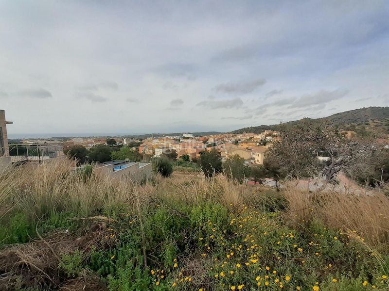 Foto e59abc32-b278-4311-b388-3bb6bc5211f9. Terreny residencial a Roda de Barà