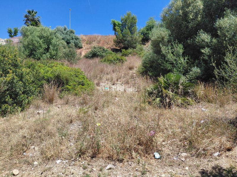 Foto 42694a24-fd04-41fb-b583-a976adfc89b6. Terreny residencial a Roda de Barà