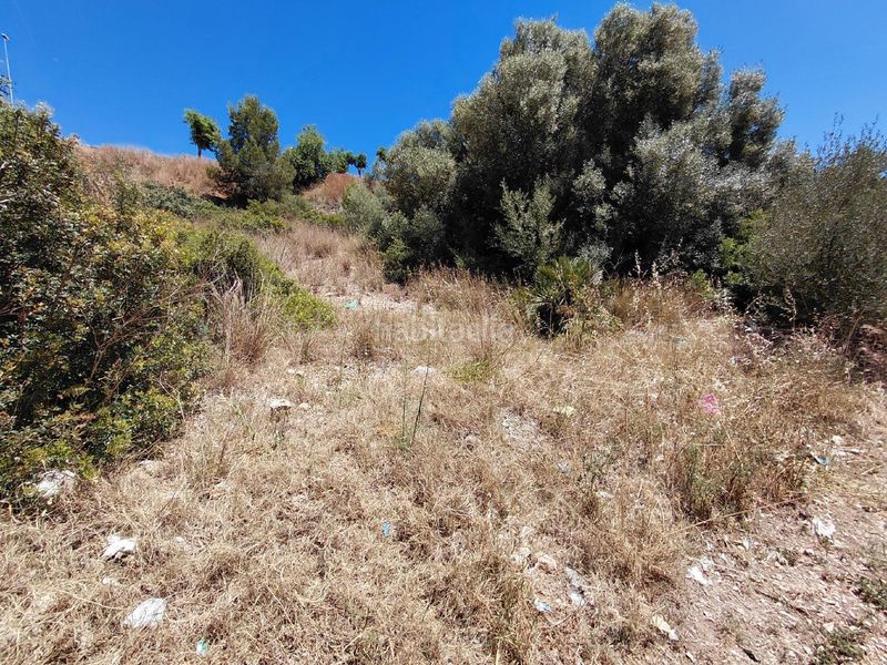 Foto e72d3823-4a62-48c0-b987-172967a04f5e. Terreny residencial a Roda de Barà