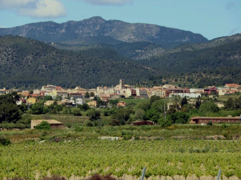 Foto 64fe4af0-0f09-4991-adaf-8c34e571c8ac. Xalet a Sant Jaume dels Domenys