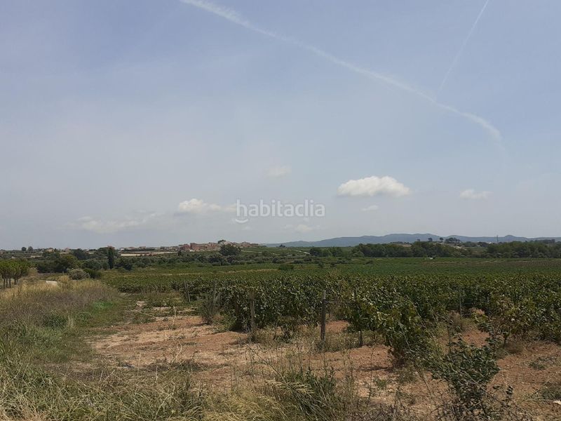 Foto f867bd78-2306-4bfb-93b4-97bfe888f363. Xalet a Sant Jaume dels Domenys