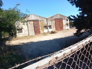 Capannone industriale in Picadueñas. Suelo pino solete