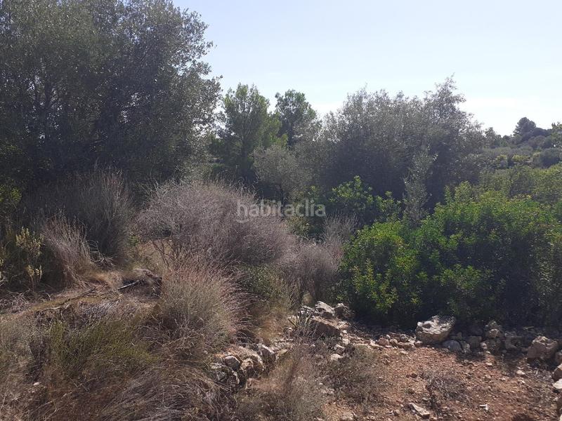 Foto 84a3ed82-2119-426e-a5d8-7ac1db34fbc2. Propriété dans San Jorge