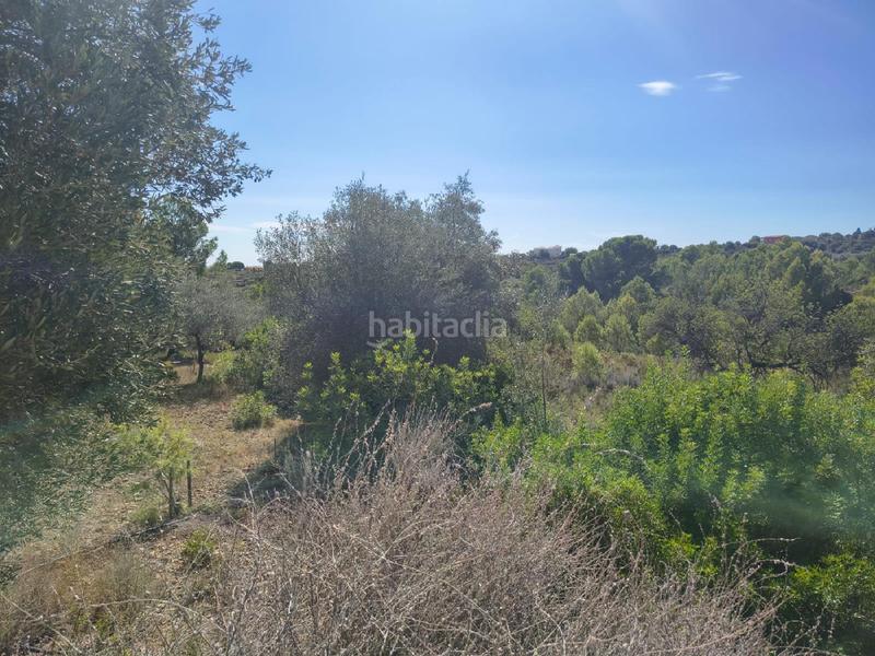 Foto a385f5bd-8ec3-4c13-81ef-4f23839addca. Propriété dans San Jorge