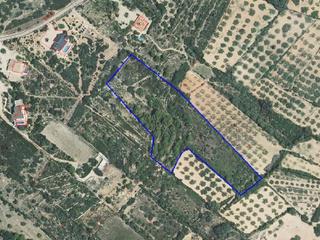 Finca rústica en San Jorge. Suelo en san jorge, castellon