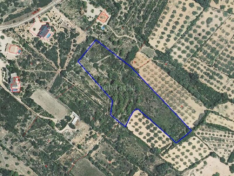 Foto de9d3798-5279-4d9c-9efa-7e27dedc8094. Propriété dans San Jorge