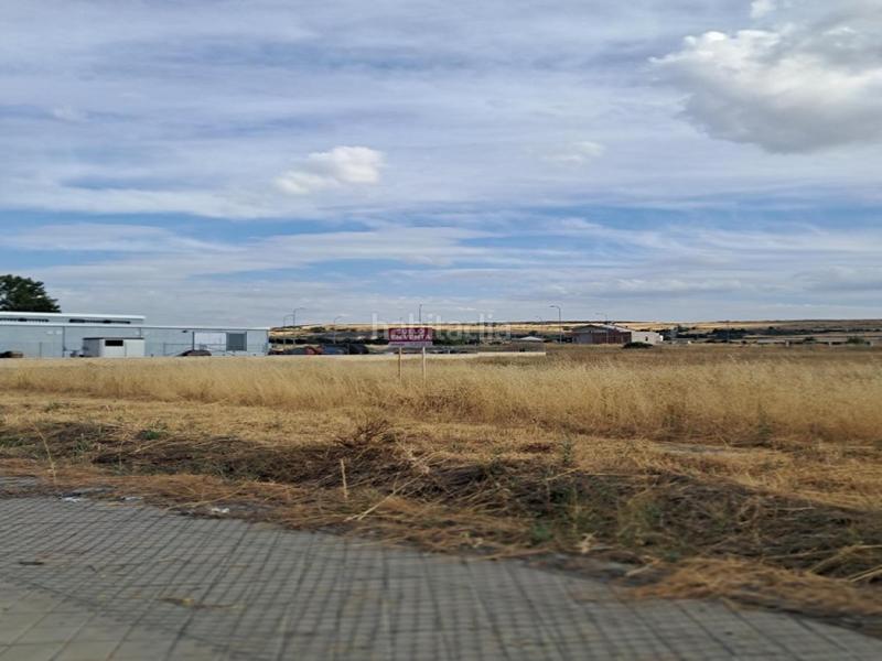 Foto ee297517-8307-42af-8ffa-8290d0d38e66. Pis a Sónsoles Ávila