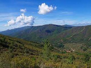 Finca rústica a Perales del Puerto. Suelo en perales del puerto