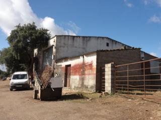 Fabrikhalle in Puebla de Obando. Hidalgas