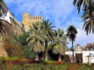 Haus in Cabra. Natividad 7