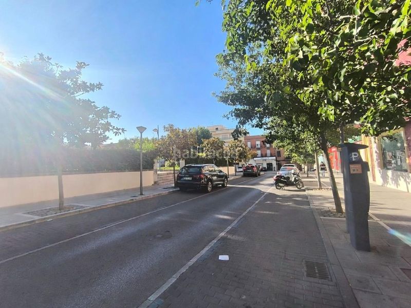 Foto f7d269bc-3069-496f-a182-0c171aa051d0. Pis a Zafra