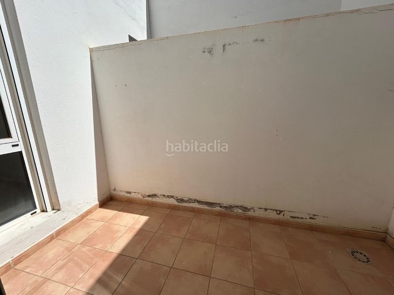Foto db096836-0c34-4630-acd9-61748073d452. Pis a Carrizal Ingenio