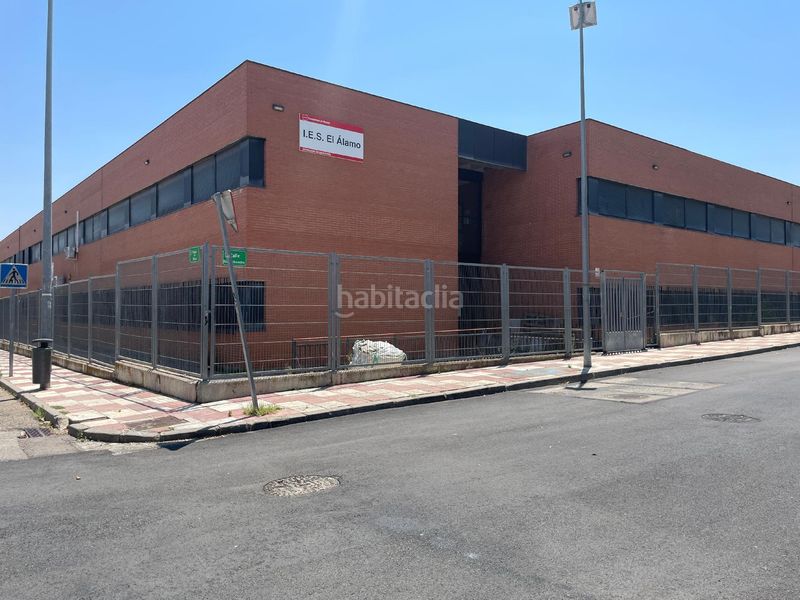 Foto ece82383-5966-4bd8-874a-79dfb29872a9. Pis a Álamo (El)