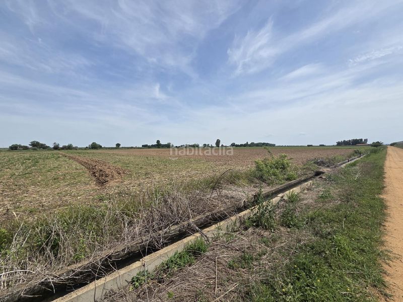 Foto b55e0a12-324f-4863-847d-9c76640a0a83. Finca rústica a Villazala